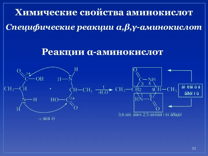 Химические свойства аминокислот Специфические реакции α,β,γ-аминокислот Реакции α-аминокислот