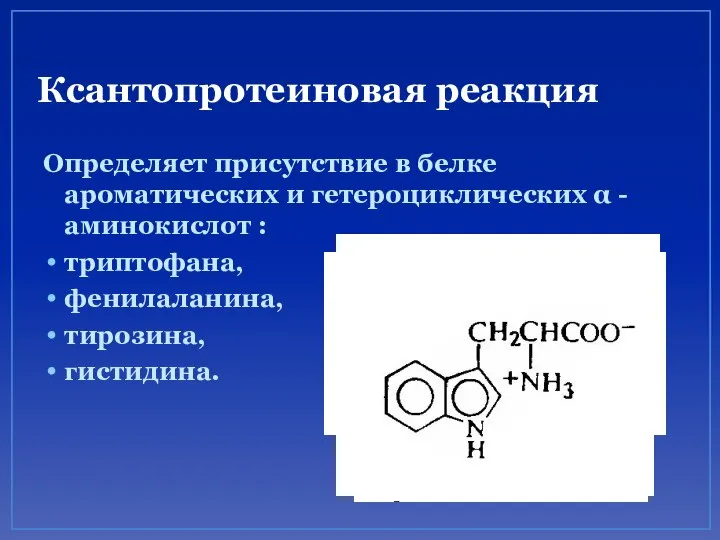 Ксантопротеиновая реакция Определяет присутствие в белке ароматических и гетероциклических α -