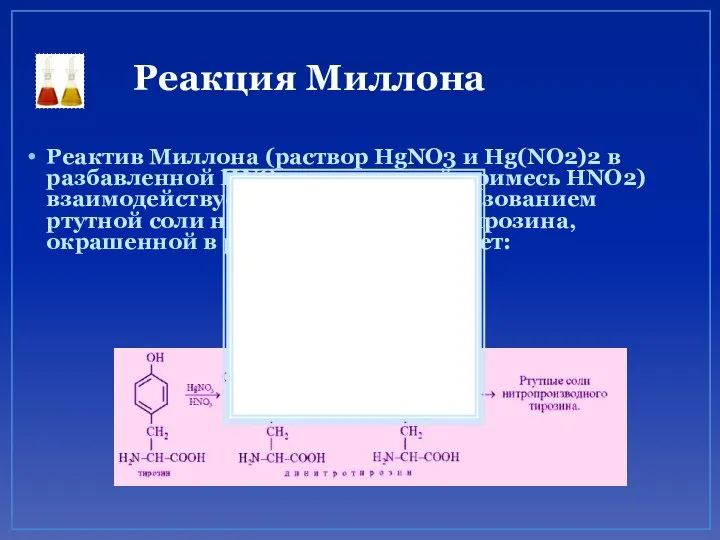 Реакция Миллона Реактив Миллона (раствор HgNO3 и Hg(NO2)2 в разбавленной HNO3,