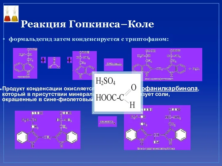 Реакция Гопкинса–Коле формальдегид затем конденсируется с триптофаном: Продукт конденсации окисляется до