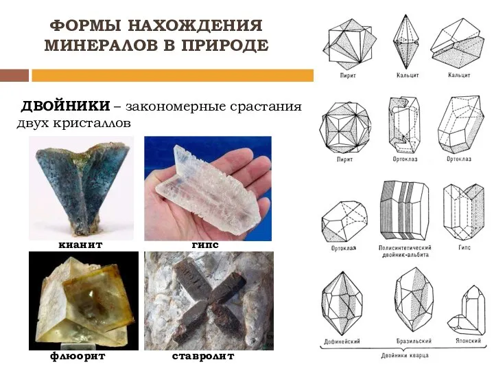 ДВОЙНИКИ – закономерные срастания двух кристаллов ФОРМЫ НАХОЖДЕНИЯ МИНЕРАЛОВ В ПРИРОДЕ флюорит ставролит кианит гипс