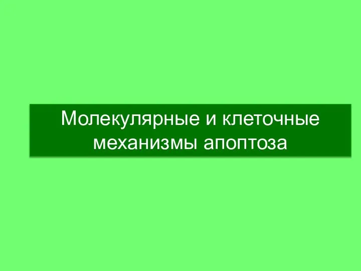 Молекулярные и клеточные механизмы апоптоза