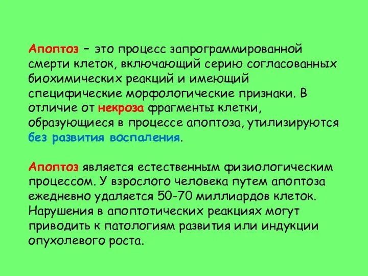 Апоптоз – это процесс запрограммированной смерти клеток, включающий серию согласованных биохимических