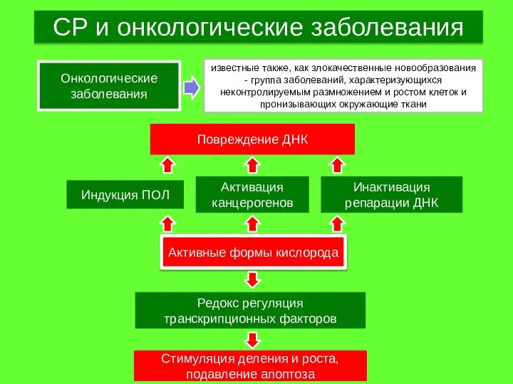 СР и онкологические заболевания Онкологические заболевания известные также, как злокачественные новообразования