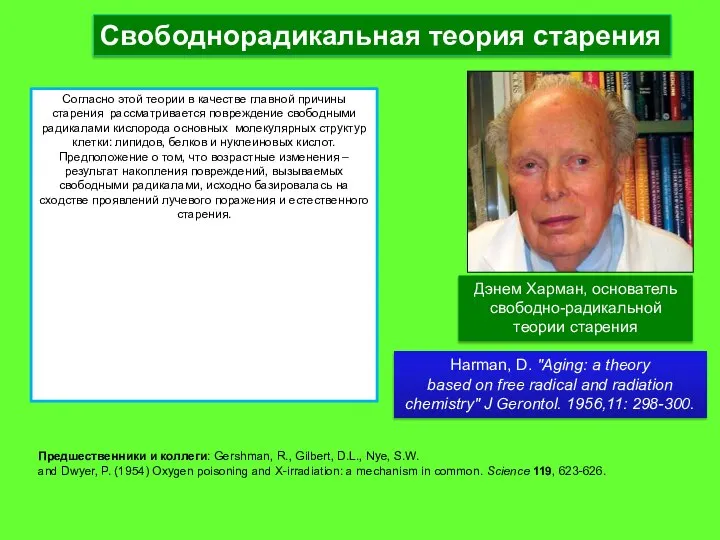 Свободнорадикальная теория старения Дэнем Харман, основатель свободно-радикальной теории старения Согласно этой