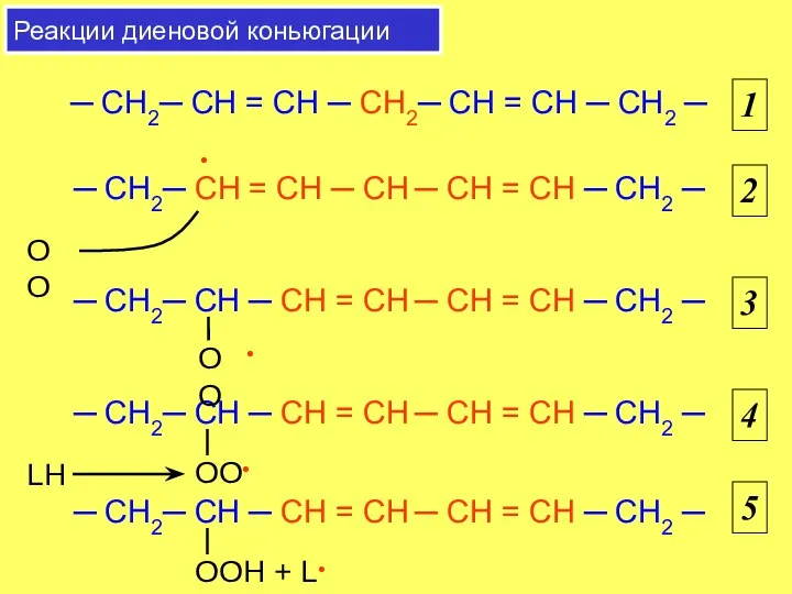 ─ CH2─ CH = CH ─ CH ─ CH = CH