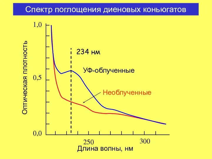 Спектр поглощения диеновых коньюгатов