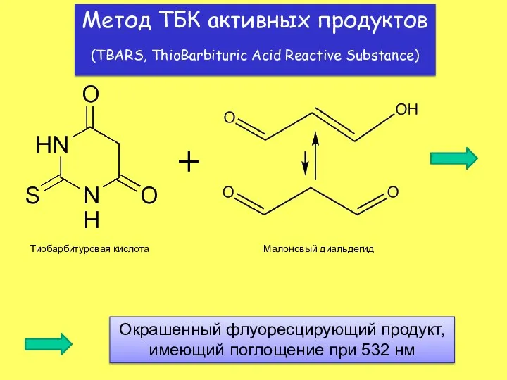 Метод ТБК активных продуктов (TBARS, ThioBarbituric Acid Reactive Substance) + Тиобарбитуровая