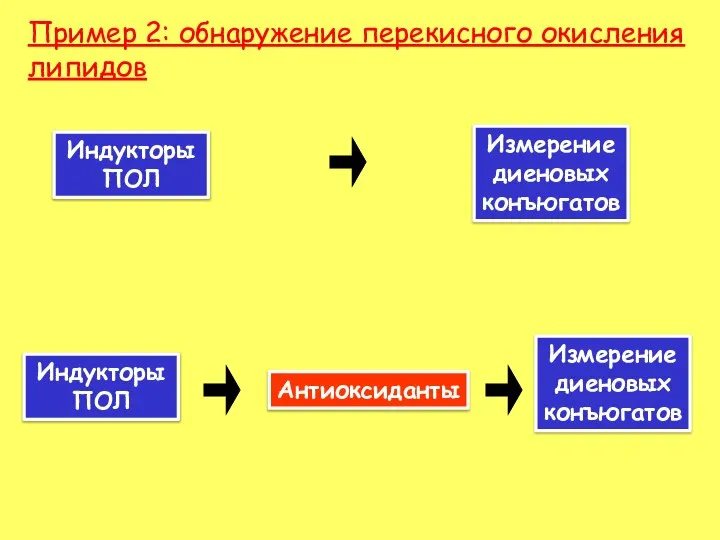 Пример 2: обнаружение перекисного окисления липидов Индукторы ПОЛ Измерение диеновых конъюгатов