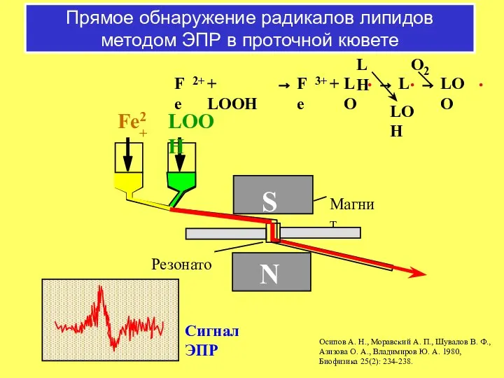 Прямое обнаружение радикалов липидов методом ЭПР в проточной кювете Резонатор Магнит