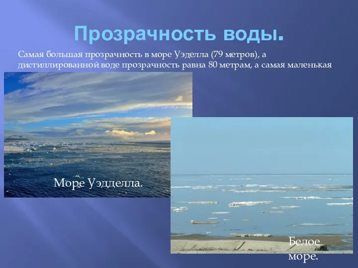 Прозрачность воды. Самая большая прозрачность в море Уэделла (79 метров), а