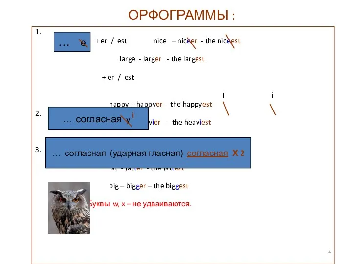 ОРФОГРАММЫ : 1. + er / est nice – niceer -