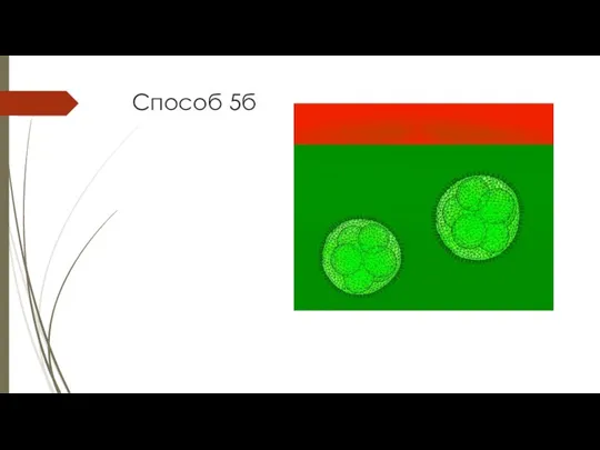 Способ 5б