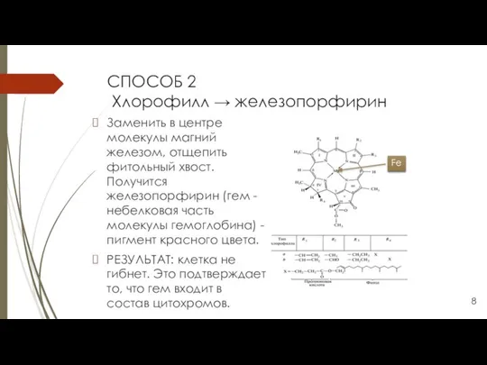 СПОСОБ 2 Хлорофилл → железопорфирин Заменить в центре молекулы магний железом,