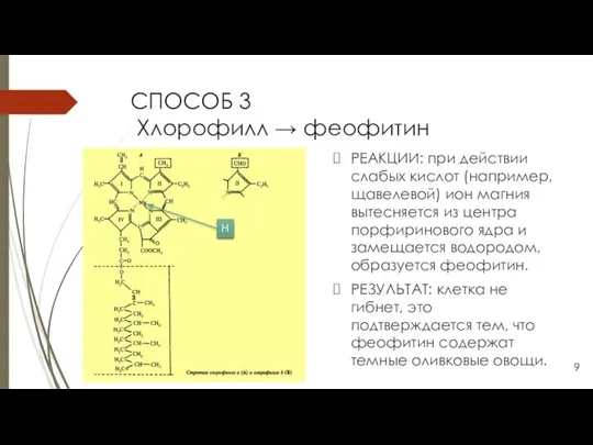 СПОСОБ 3 Хлорофилл → феофитин РЕАКЦИИ: при действии слабых кислот (например,