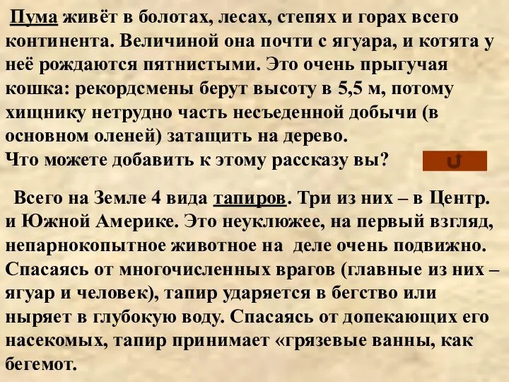 Всего на Земле 4 вида тапиров. Три из них – в