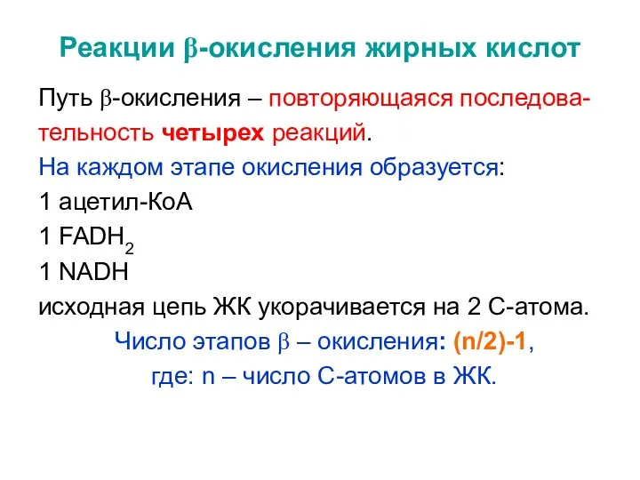 Реакции β-окисления жирных кислот Путь β-окисления – повторяющаяся последова- тельность четырех