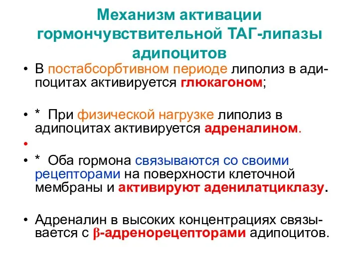 Механизм активации гормончувствительной ТАГ-липазы адипоцитов В постабсорбтивном периоде липолиз в ади-поцитах