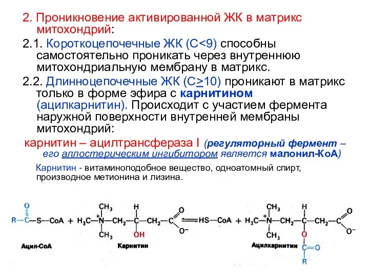 2. Проникновение активированной ЖК в матрикс митохондрий: 2.1. Короткоцепочечные ЖК (С