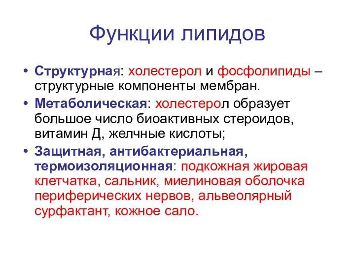 Функции липидов Структурная: холестерол и фосфолипиды – структурные компоненты мембран. Метаболическая: