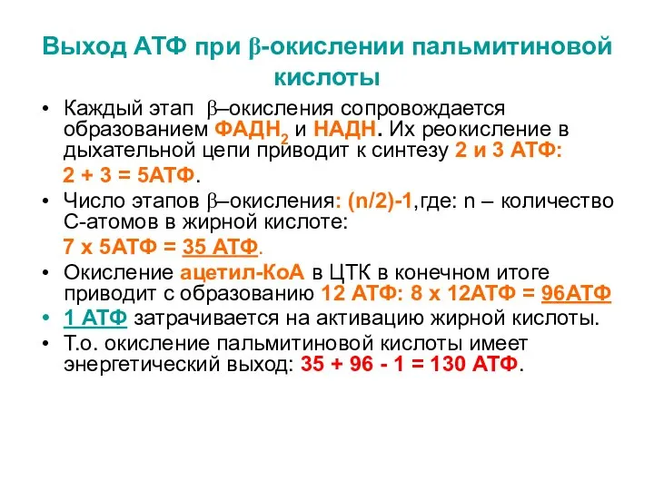 Выход АТФ при β-окислении пальмитиновой кислоты Каждый этап β–окисления сопровождается образованием