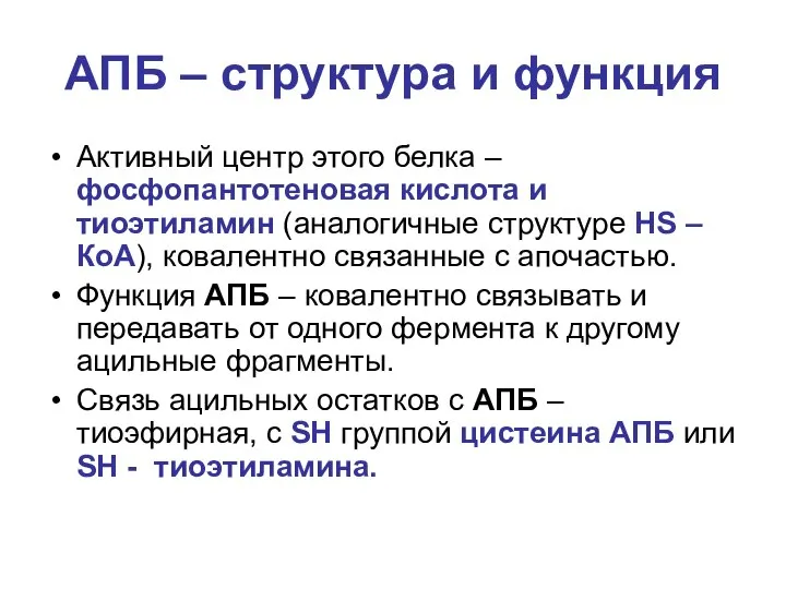 АПБ – структура и функция Активный центр этого белка – фосфопантотеновая