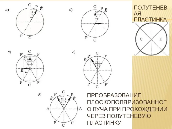 ПРЕОБРАЗОВАНИЕ ПЛОСКОПОЛЯРИЗОВАННОГО ЛУЧА ПРИ ПРОХОЖДЕНИИ ЧЕРЕЗ ПОЛУТЕНЕВУЮ ПЛАСТИНКУ ПОЛУТЕНЕВАЯ ПЛАСТИНКА