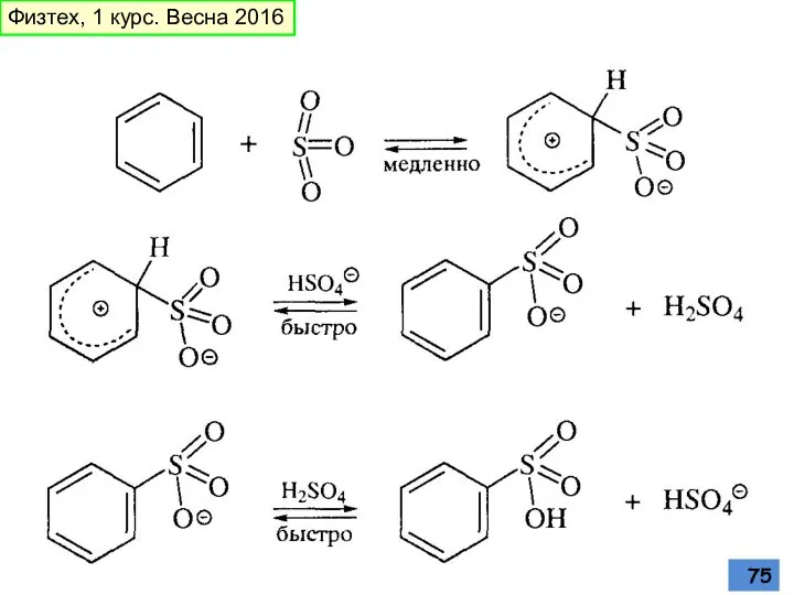 Физтех, 1 курс. Весна 2016