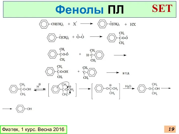 Физтех, 1 курс. Весна 2016 Фенолы ПЛ SET