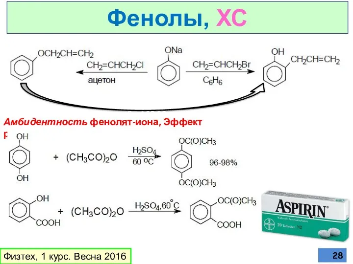 Физтех, 1 курс. Весна 2016 Фенолы, ХС Амбидентность фенолят-иона, Эффект растворителя