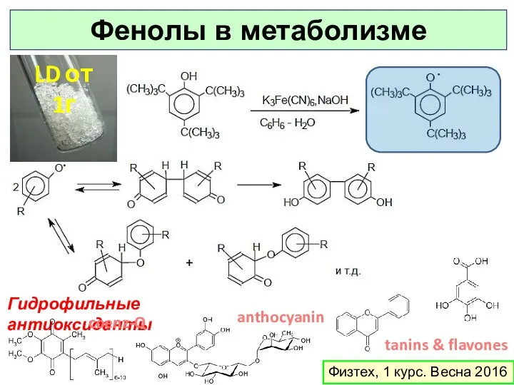 Физтех, 1 курс. Весна 2016 Фенолы в метаболизме LD от 1г