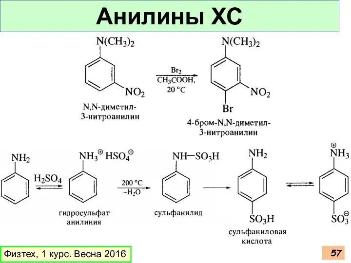 Анилины ХС Физтех, 1 курс. Весна 2016