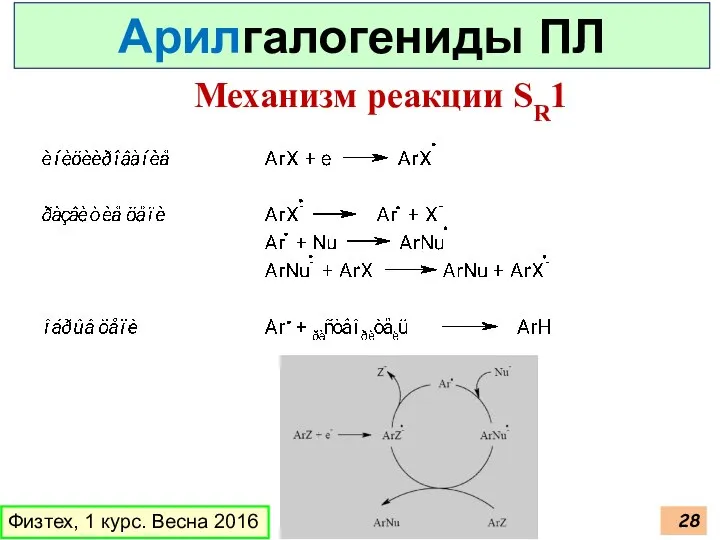 Физтех, 1 курс. Весна 2016 Механизм реакции SR1 Арилгалогениды ПЛ