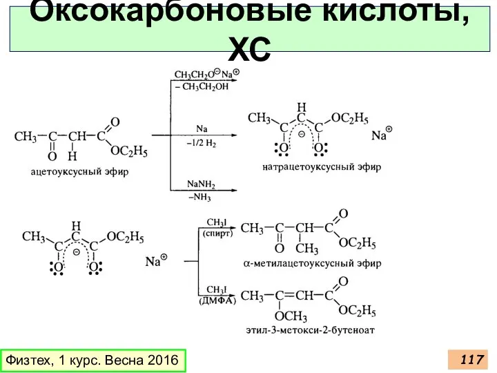 Оксокарбоновые кислоты, ХС Физтех, 1 курс. Весна 2016