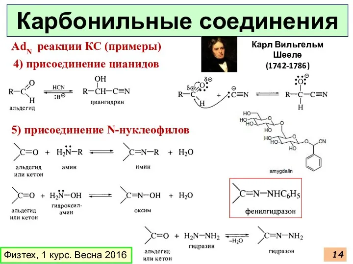 Физтех, 1 курс. Весна 2016 Карбонильные соединения 4) присоединение цианидов AdN