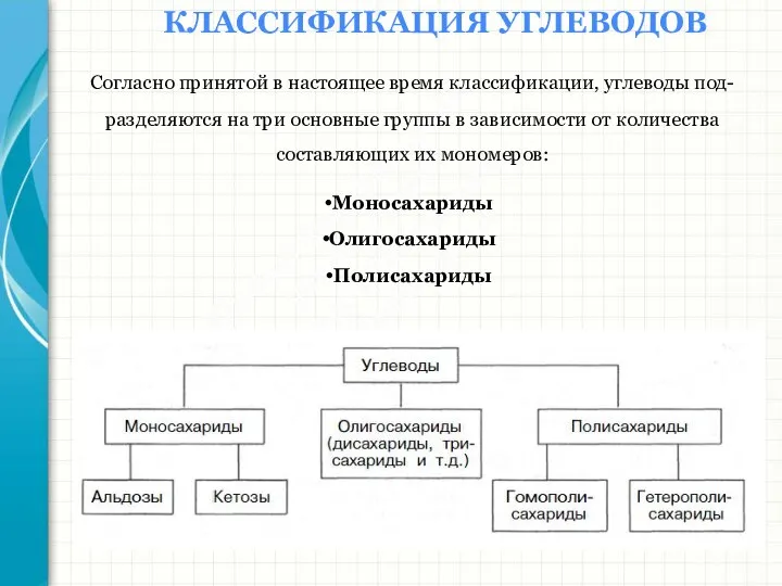 Южный федеральный университет Кафедра биохимии и микробиологии КЛАССИФИКАЦИЯ УГЛЕВОДОВ Согласно принятой