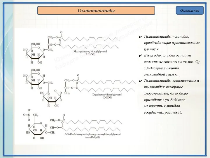 Оглавление Галактолипиды Галактолипиды – липиды, преобладающие в растительных клетках. В них