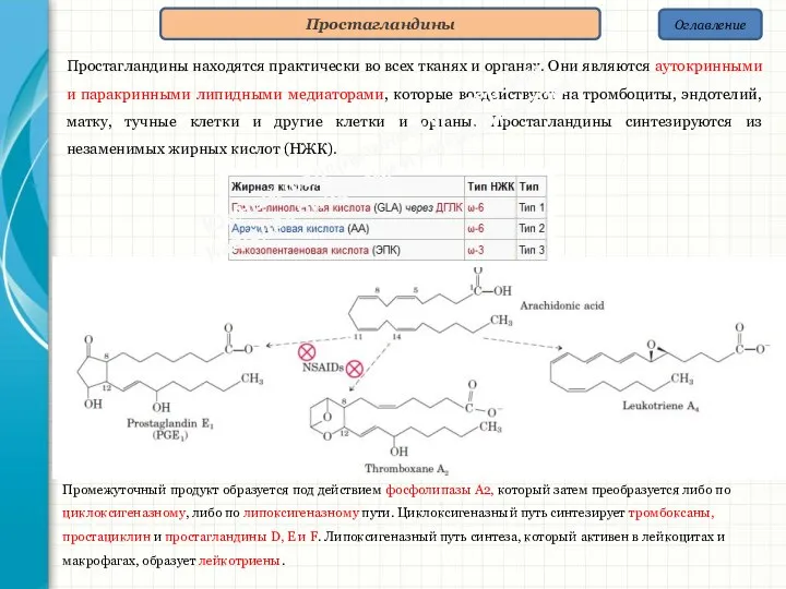 Оглавление Простагландины Простагландины находятся практически во всех тканях и органах. Они