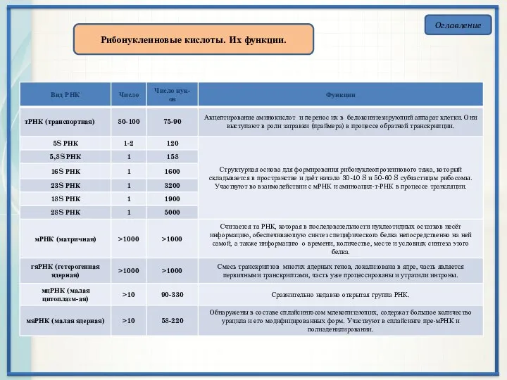 Оглавление Рибонуклеиновые кислоты. Их функции.