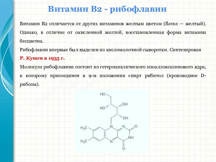 Южный федеральный университет Кафедра биохимии и микробиологии Витамин В2 - рибофлавин