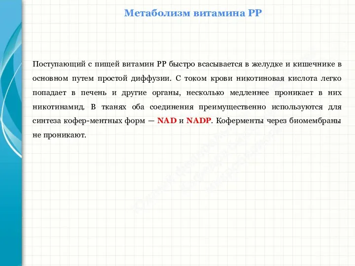 Южный федеральный университет Кафедра биохимии и микробиологии Метаболизм витамина РР Поступающий