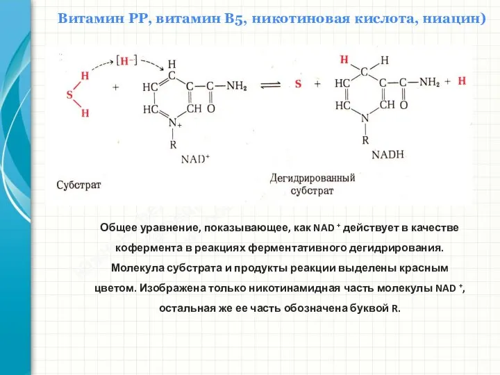 Южный федеральный университет Кафедра биохимии и микробиологии Витамин РР, витамин В5, никотиновая кислота, ниацин)