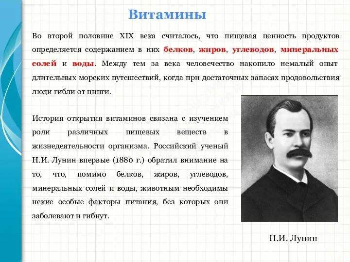 Южный федеральный университет Кафедра биохимии и микробиологии Витамины Во второй половине