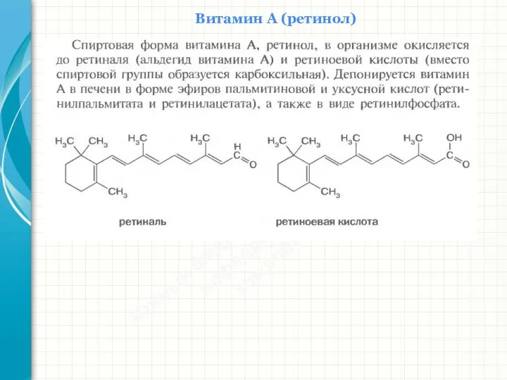 Южный федеральный университет Кафедра биохимии и микробиологии Витамин А (ретинол)