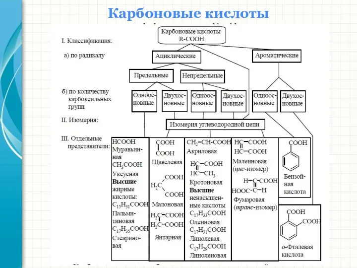 Карбоновые кислоты