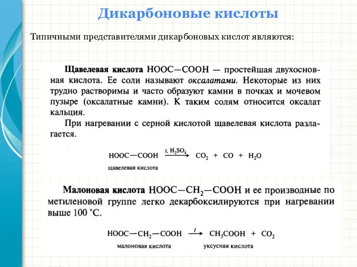 Дикарбоновые кислоты Типичными представителями дикарбоновых кислот являются: