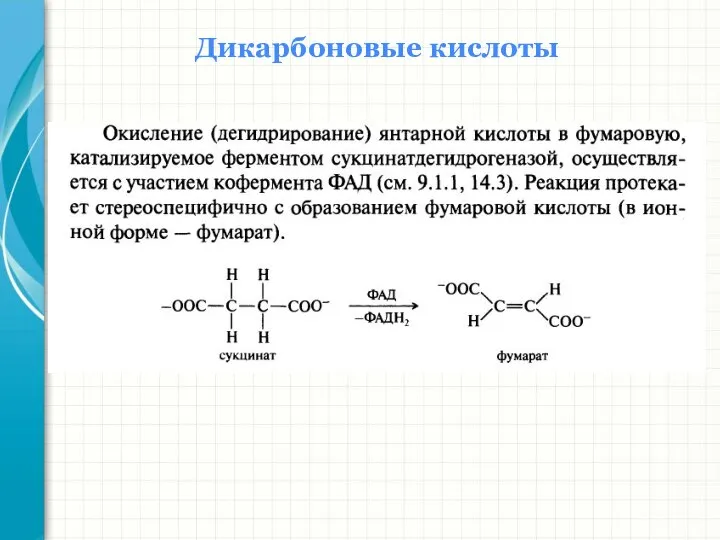 Дикарбоновые кислоты