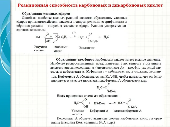 Реакционная способность карбоновых и дикарбоновых кислот