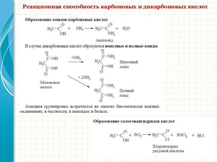 Реакционная способность карбоновых и дикарбоновых кислот