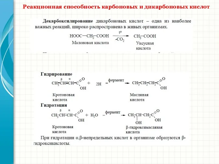 Реакционная способность карбоновых и дикарбоновых кислот